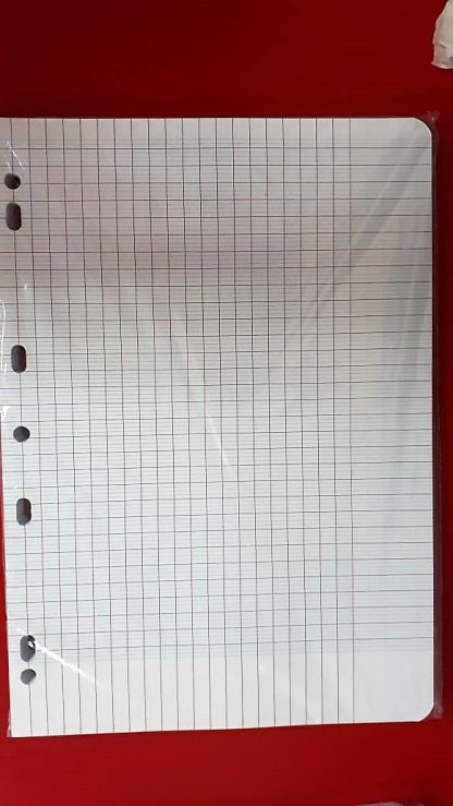 PAQUETE DE 100 HOJAS SIMPLES